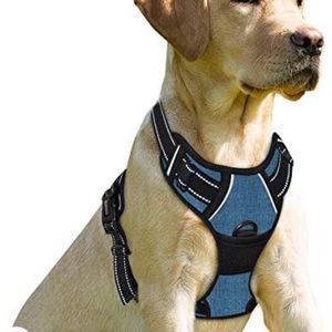 Rabbitgo harness - small